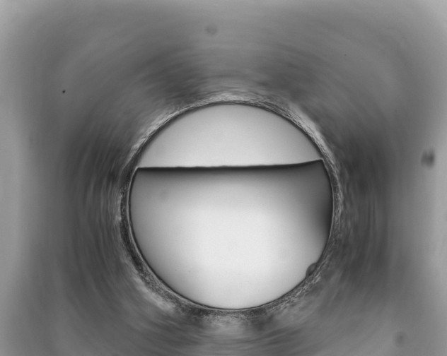 X0000091220106200708091146