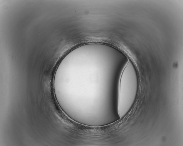X0000091220107200708091146