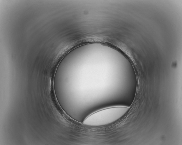 X0000091220109200708091146