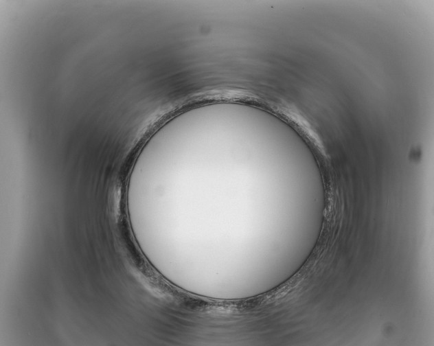 X0000091220110200708091146