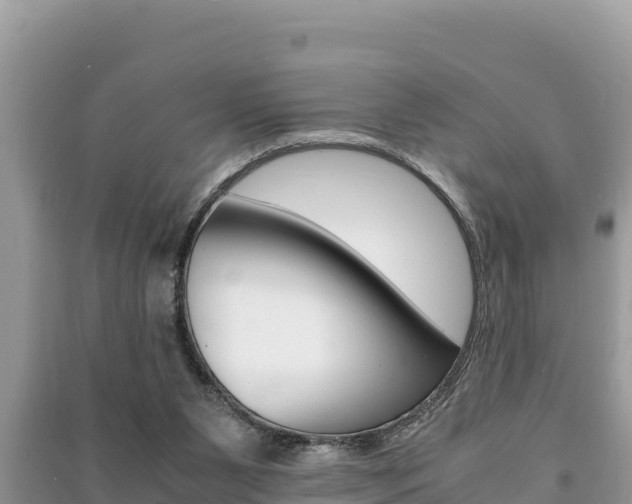 X0000091220111200708091146