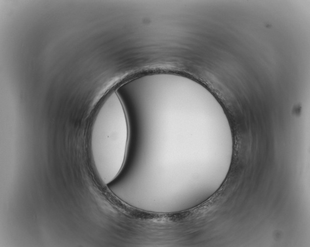 X0000091220112200708091146