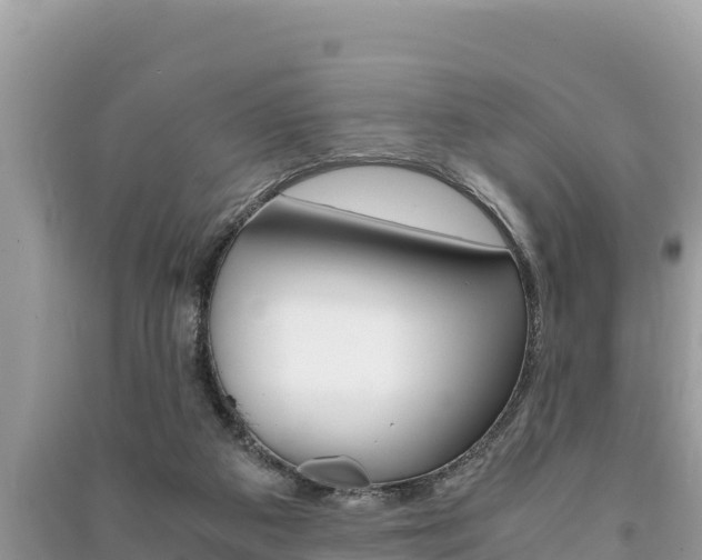 X0000091220113200708091146
