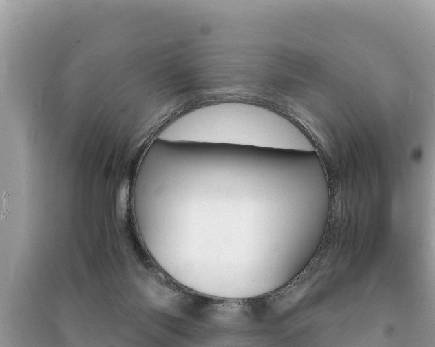 X0000091220118200708091145