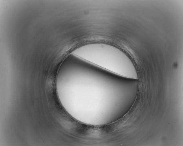 X0000091220119200708091145