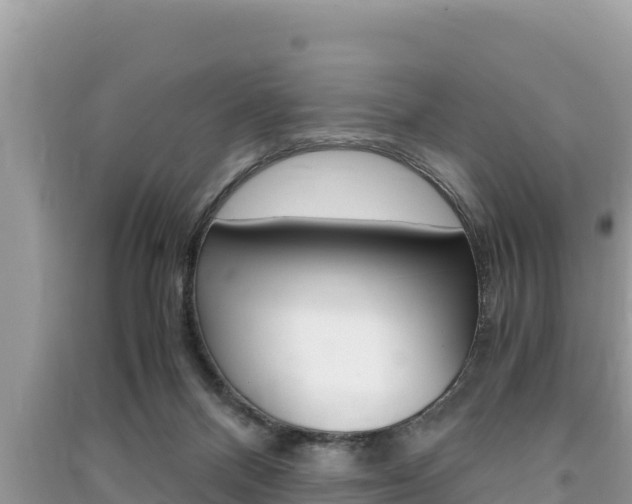 X0000091220120200708091145