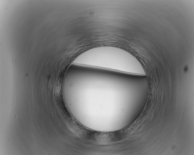X0000091220129200708091145