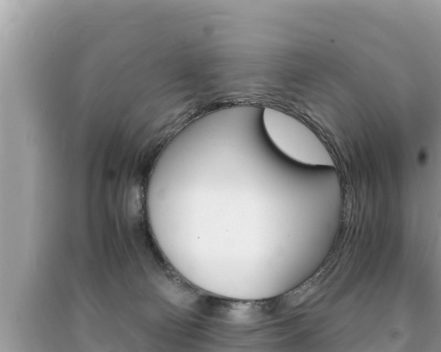 X0000091220130200708091145