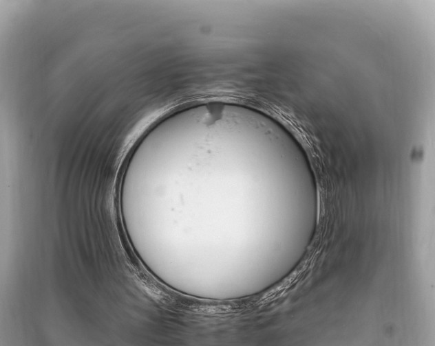 X0000091220147200708091144