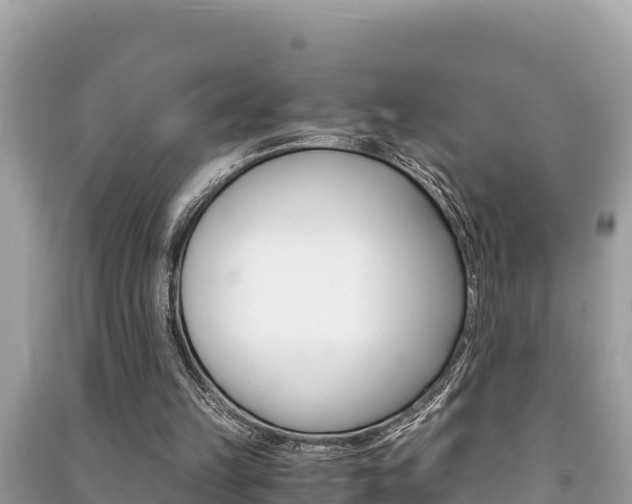 X0000091220149200708091144