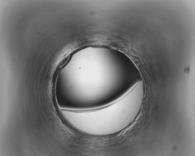 X0000091220150200708091144