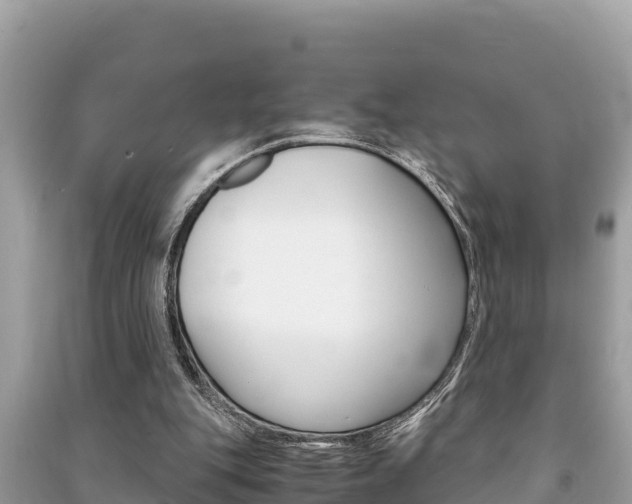 X0000091220151200708091144