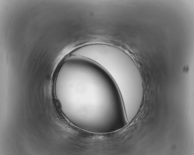 X0000091220152200708091144
