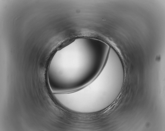 X0000091220154200708091145