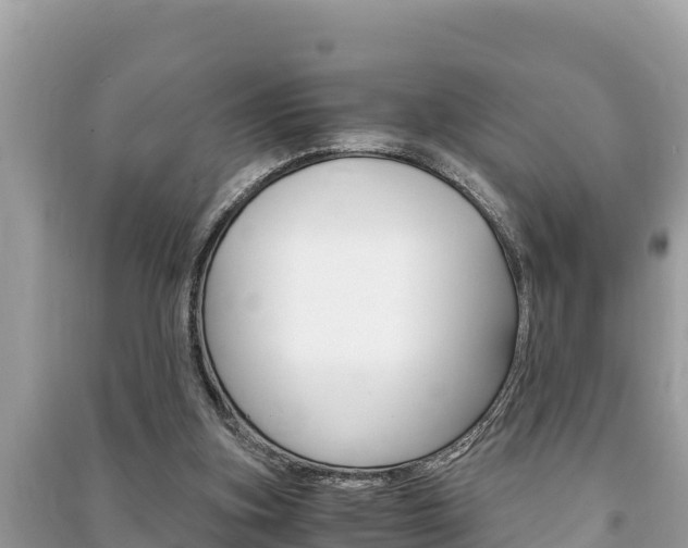 X0000091220155200708091145