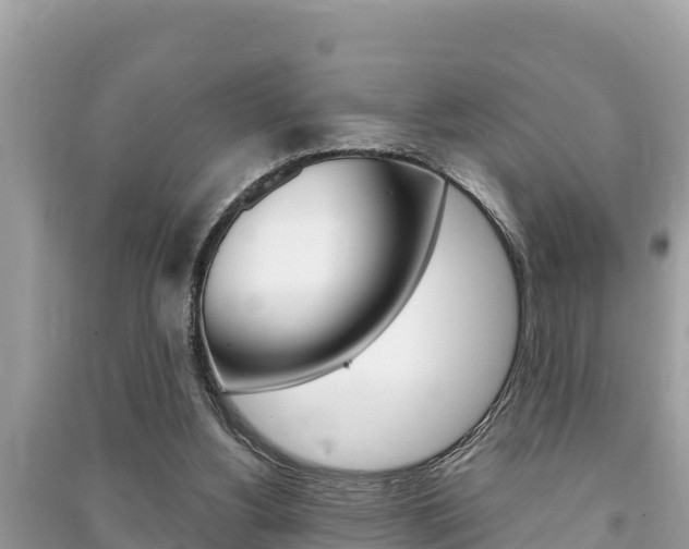 X0000091220156200708091145