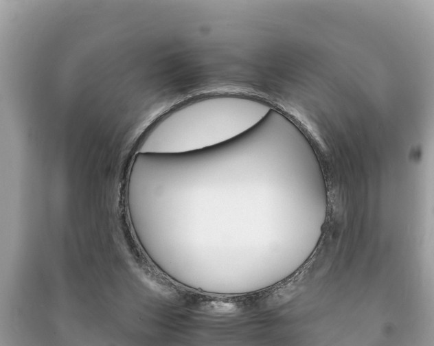 X0000091220159200708091145