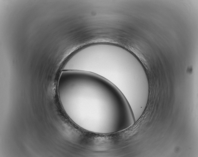 X0000091220160200708091145
