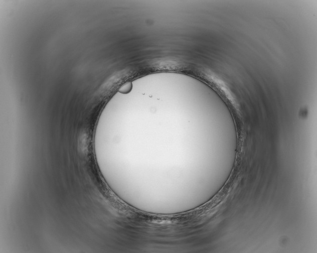 X0000091220161200708091145