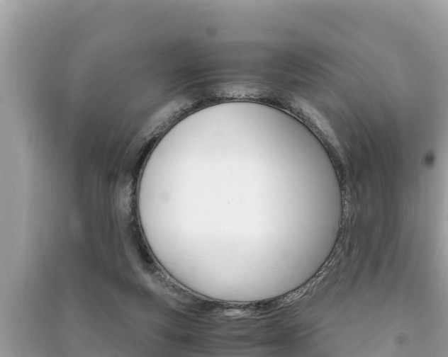 X0000091220163200708091145