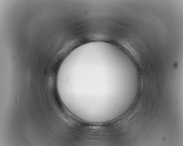 X0000091220165200708091145
