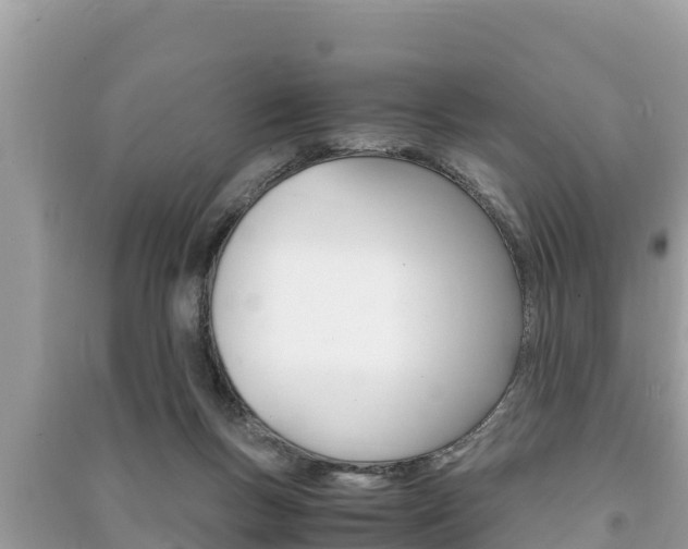 X0000091220167200708091145