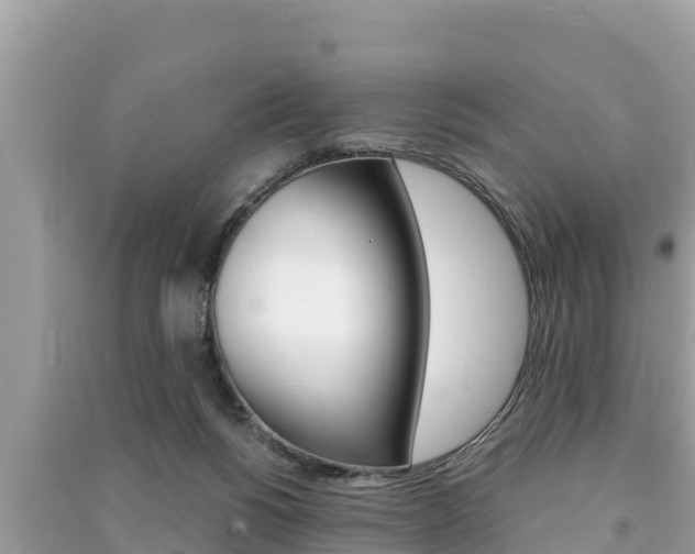 X0000091220168200708091145