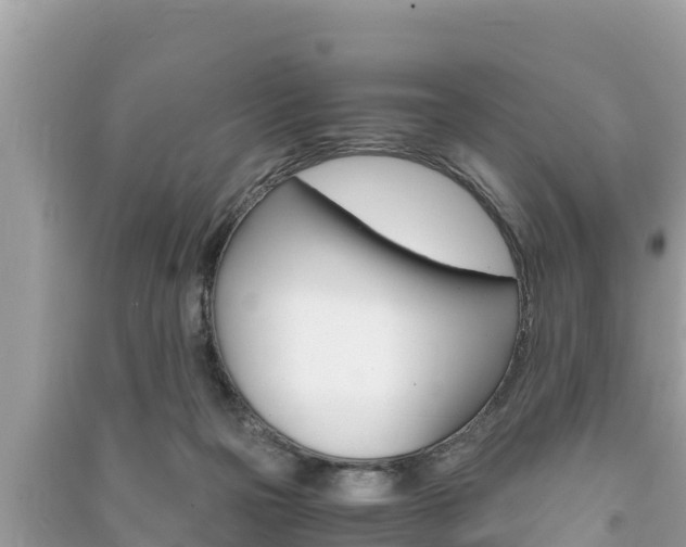 X0000091220169200708091145