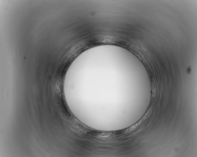 X0000091220175200708091145