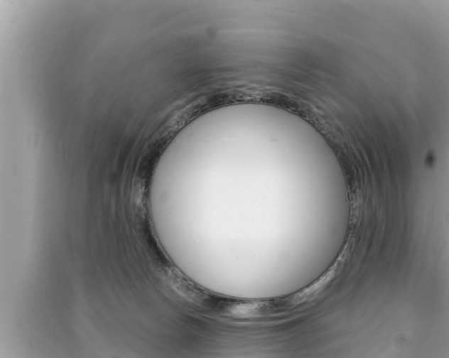 X0000091220178200708091145