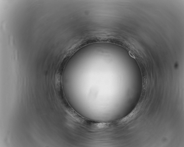 X0000091220184200708091145