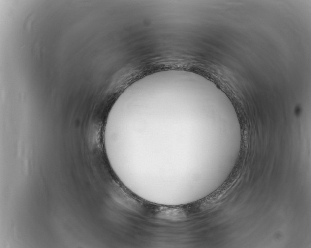X0000091220185200708091145