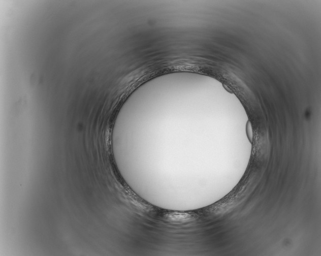 X0000091220189200708091145