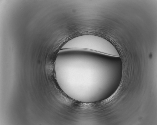 X0000091220192200708091145