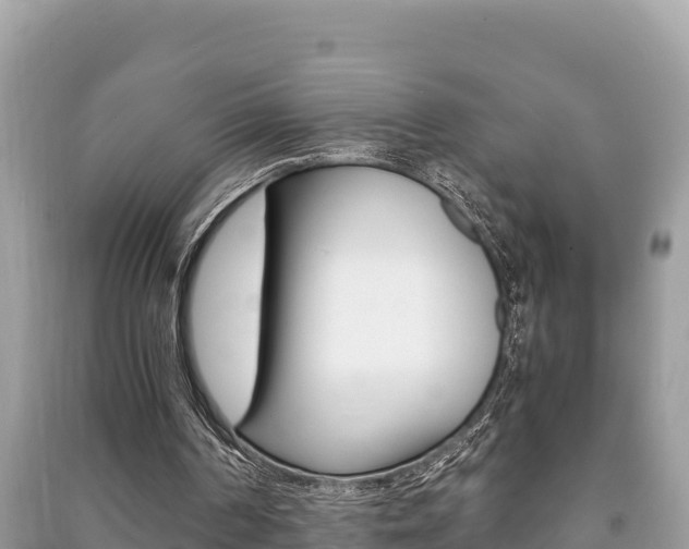 X0000091220194200708091144