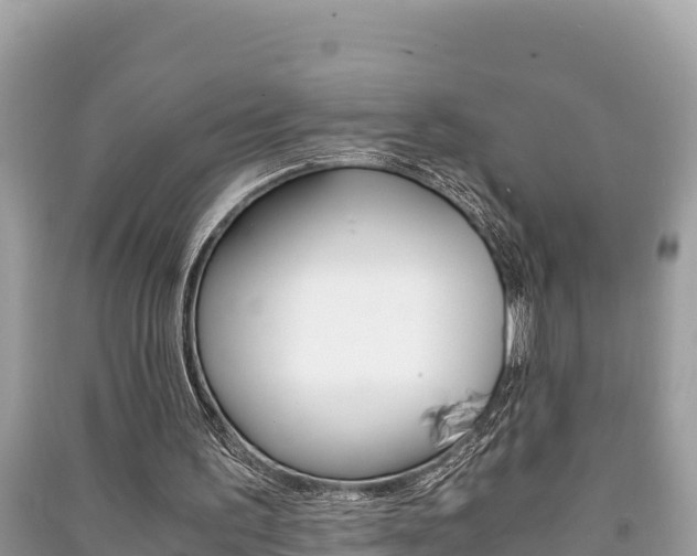 X0000091220195200708091144