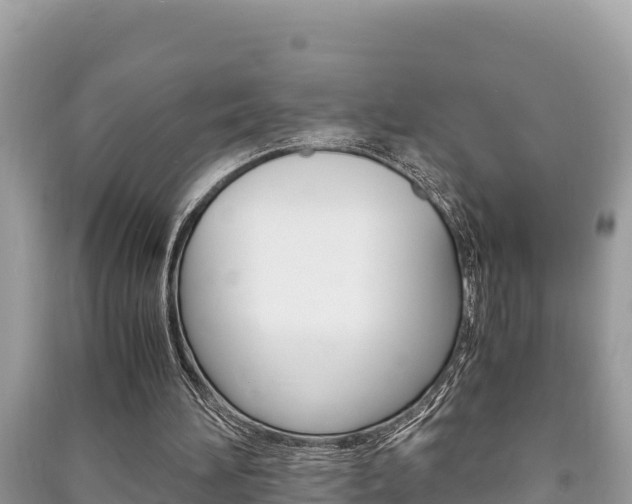 X0000091220196200708091144