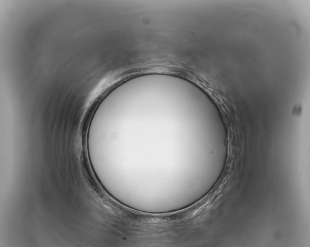 X0000091220198200708091144