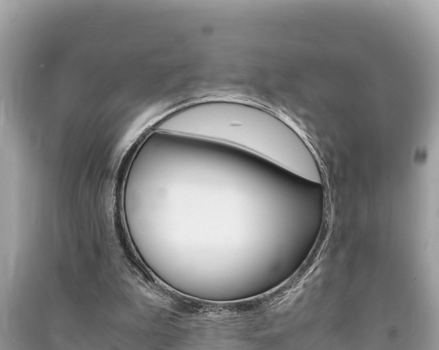 X0000091220199200708091144