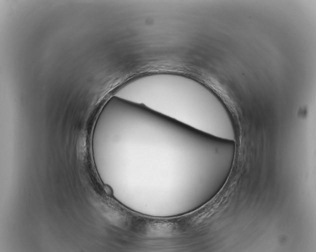X0000091220202200708091144