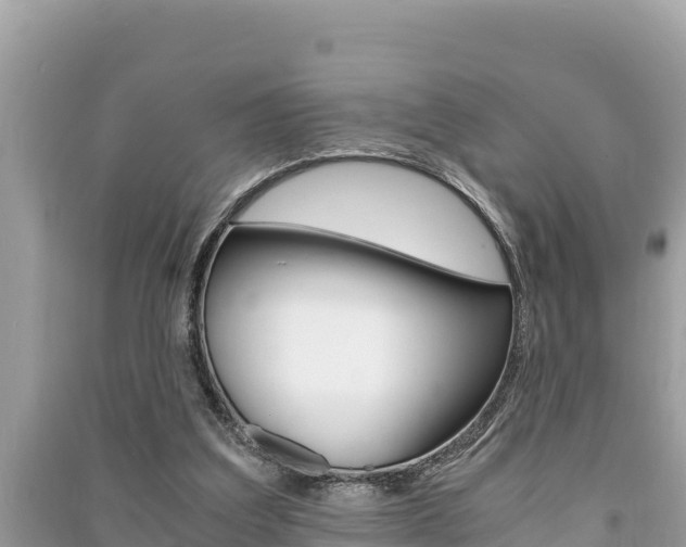 X0000091220203200708091144