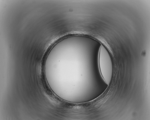 X0000091220204200708091144