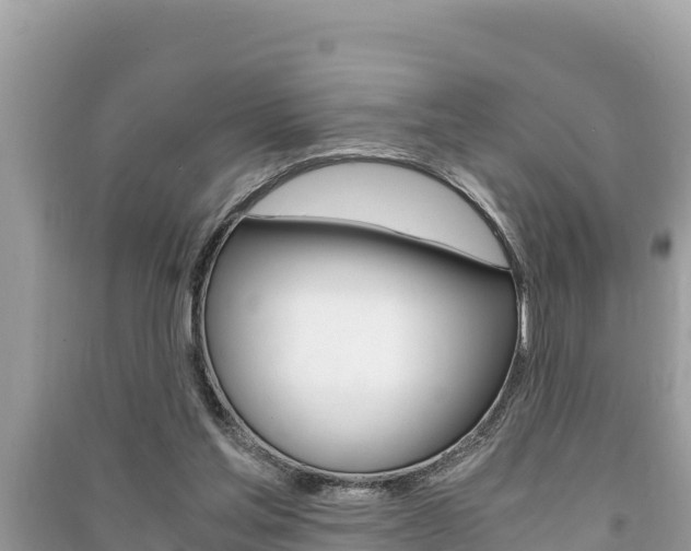X0000091220205200708091144