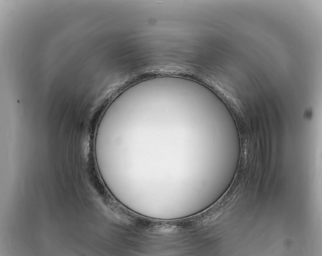 X0000091220206200708091144