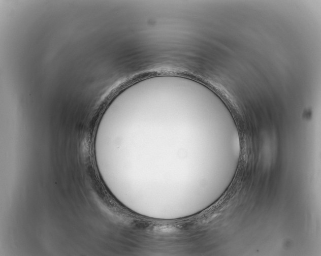 X0000091220208200708091144