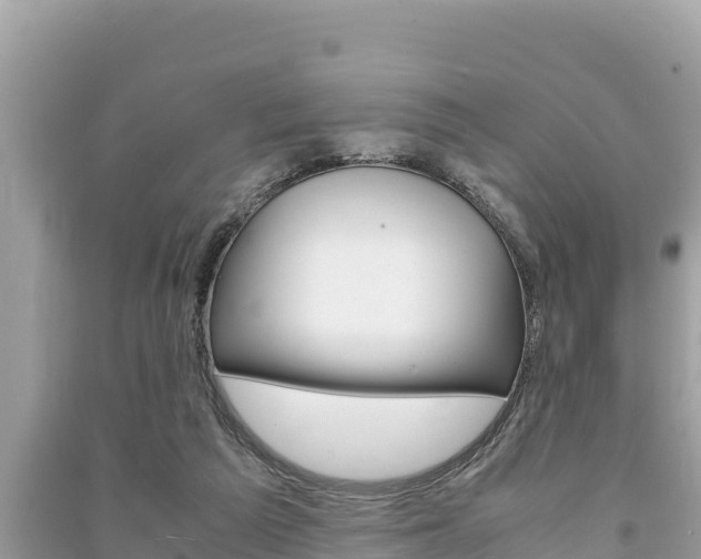 X0000091220209200708091144