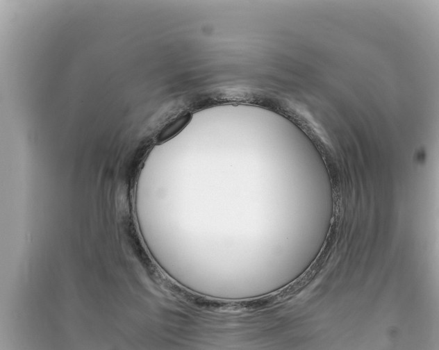 X0000091220213200708091144