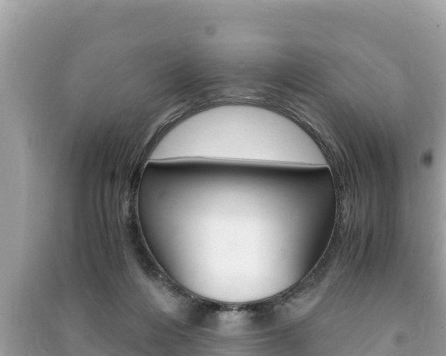 X0000091220216200708091144