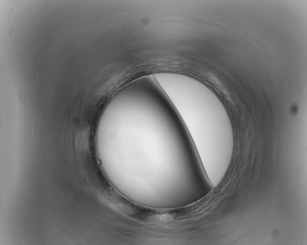 X0000091220217200708091144