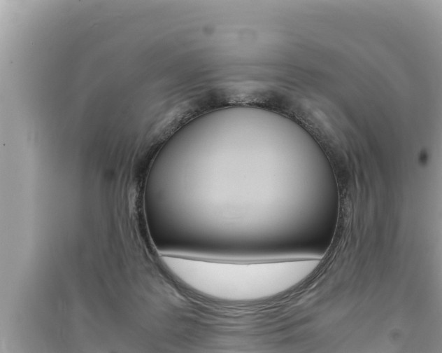X0000091220219200708091144